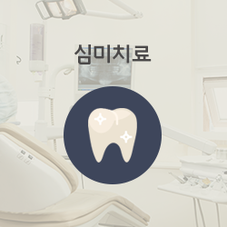 심미치료